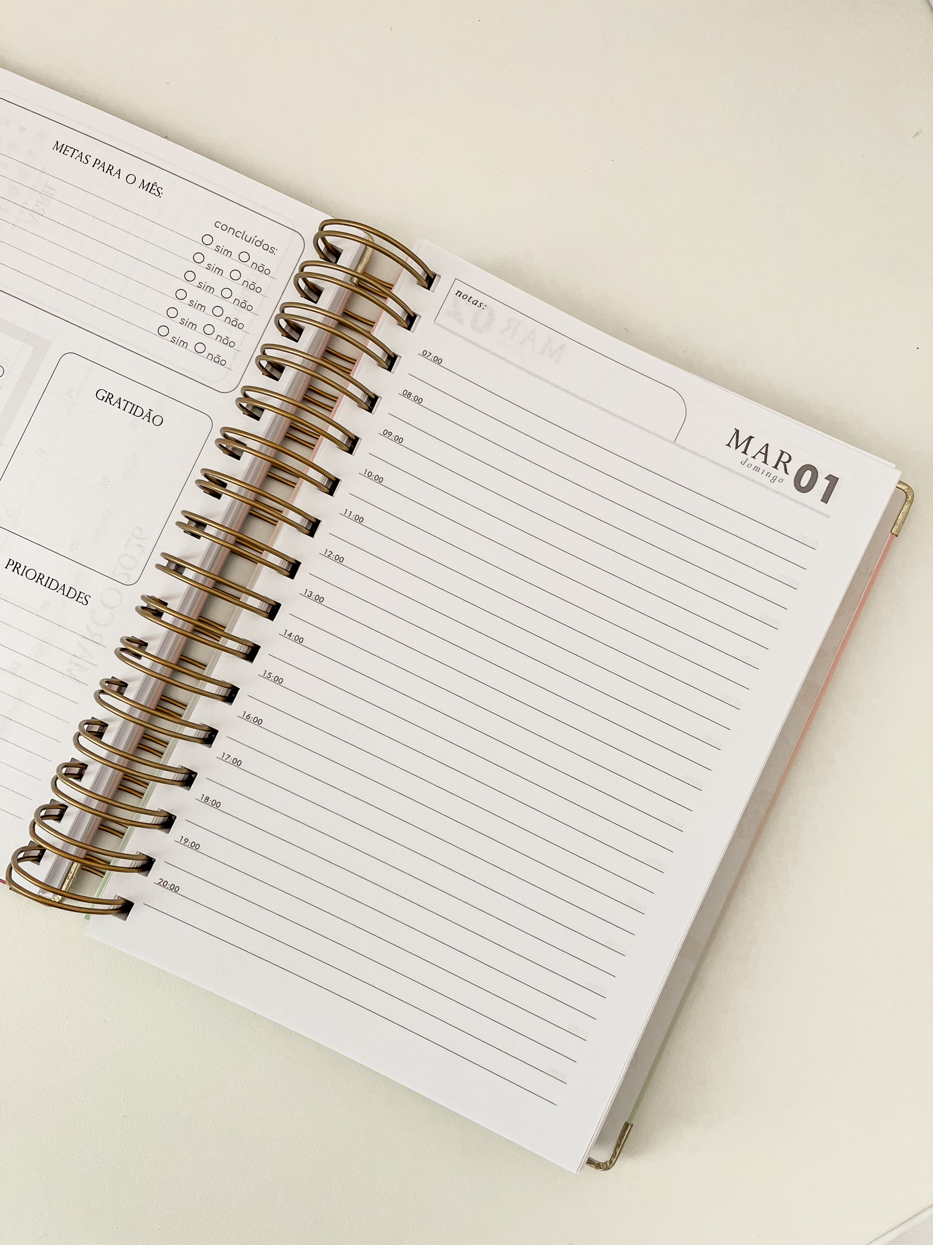 1 dia por página COM horários